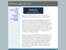 Angel Secure Networks, Inc.