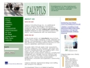 CALYPTUS CONSULTING GROUP, INC.