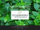 CITY-HYDROPONICS LLC
