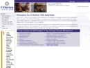 CRITERION 508 SOLUTIONS, INC.
