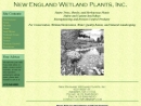 NEW ENGLAND WETLAND PLANTS INC