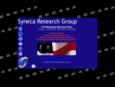 SYNECA RESEARCH GROUP INC