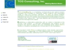 TCG CONSULTING INC