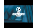 CATALYST GROUP LLC, THE